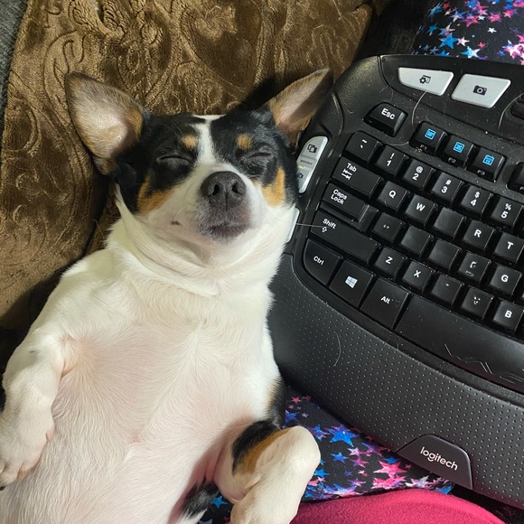 Meet your Posher, Pamela - Picture 9 of 16